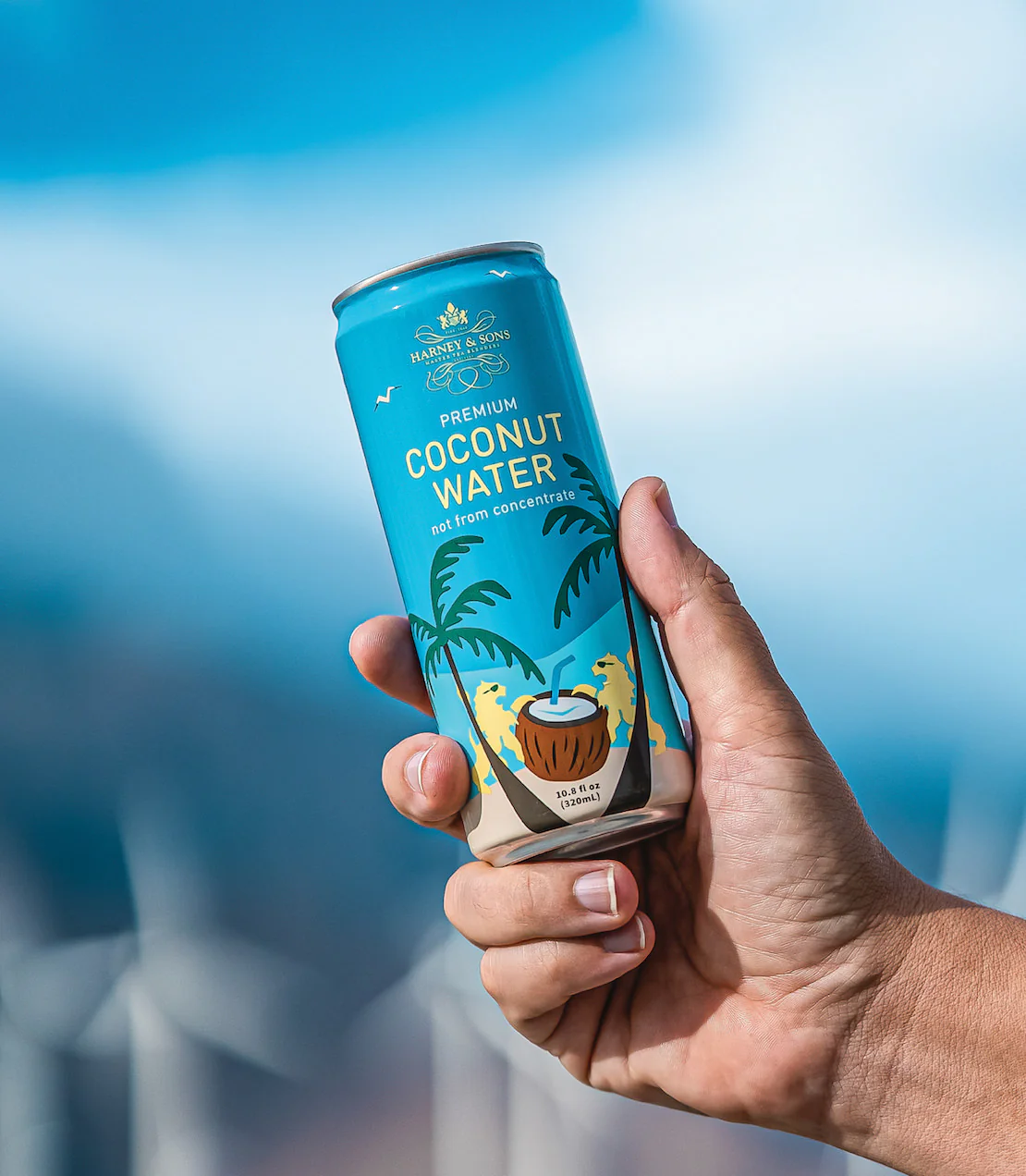 Harney & Sons Premium Coconut Water - Image 2