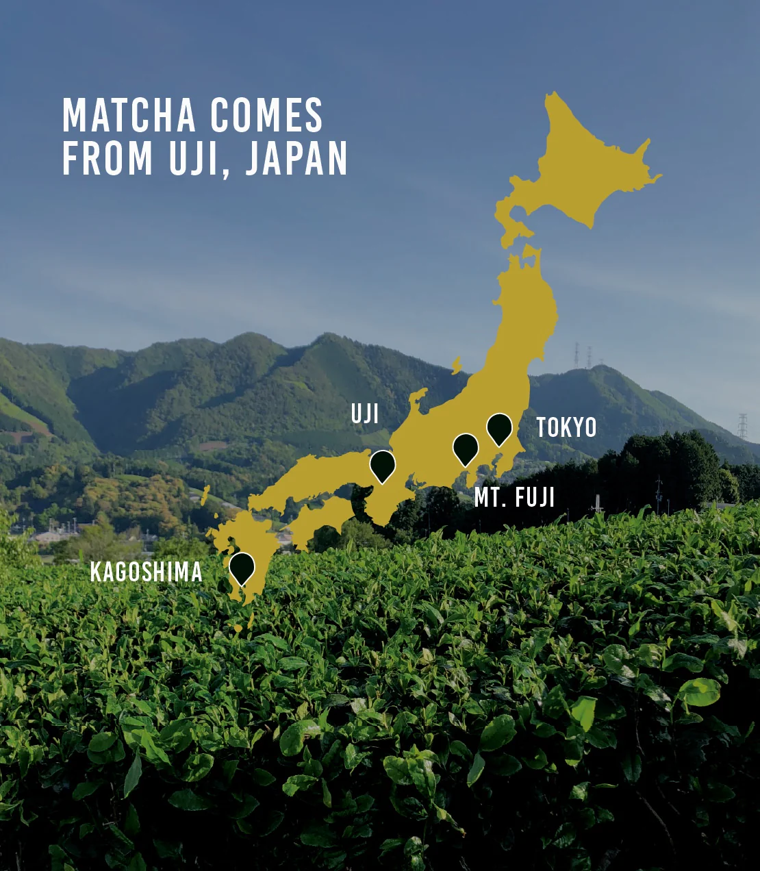 Supreme Matcha - Image 3