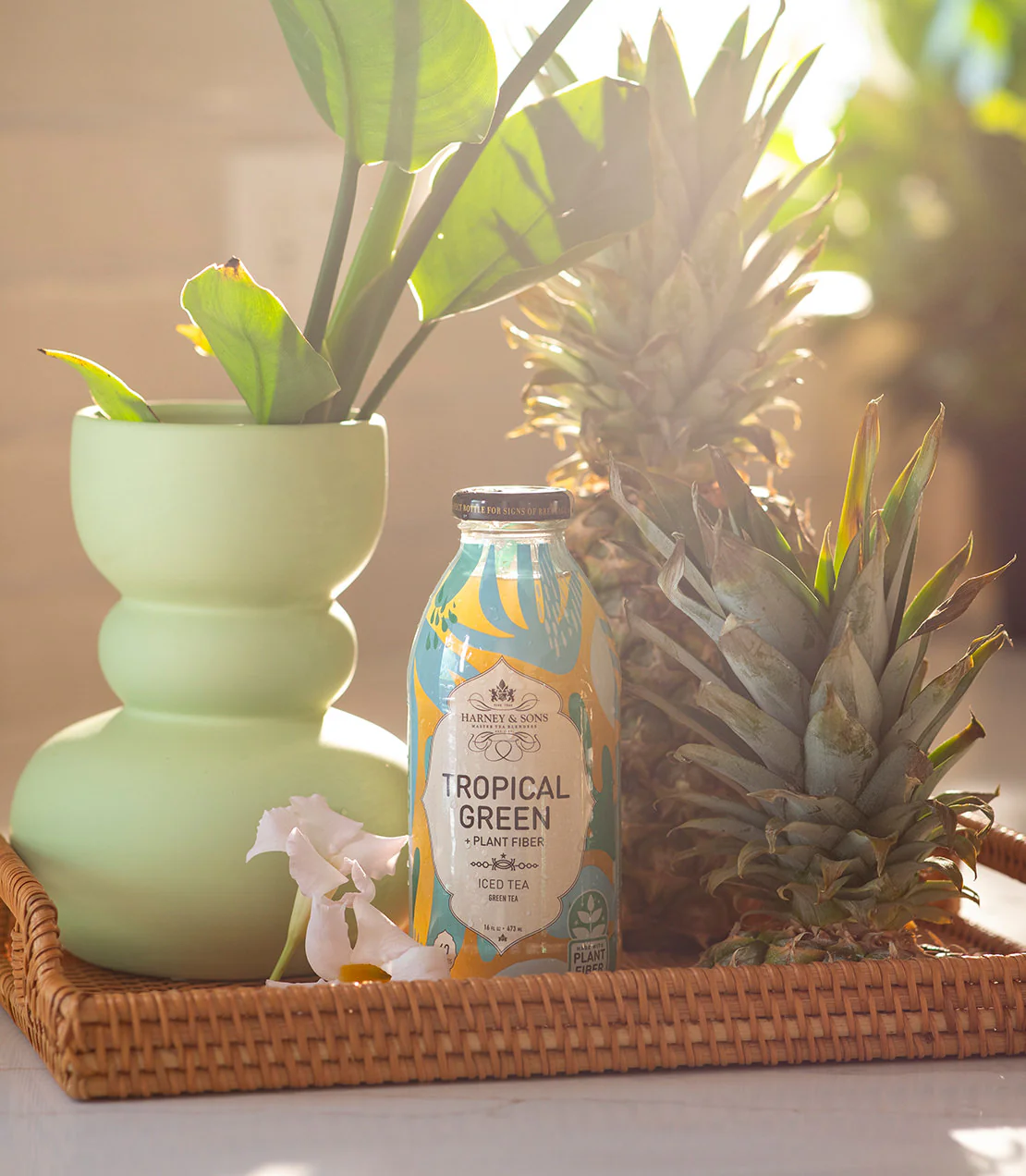 Tropical Green + Plant Fiber Iced Tea - Image 3