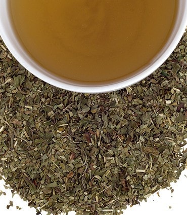 Yerba Mate Mint, Bag of 50 Sachets - Image 2